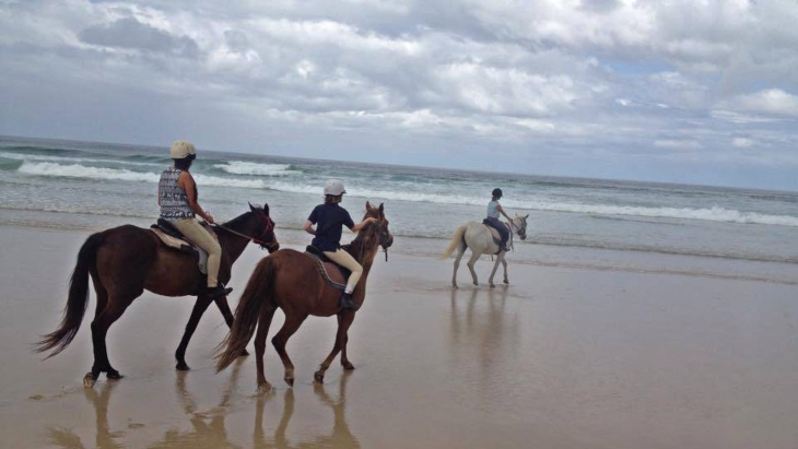 Seahorses, Byron Bay beach horse riding