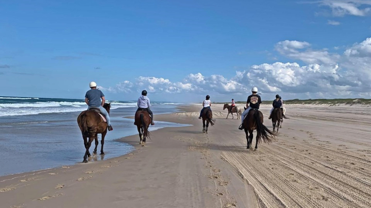 Tassiriki Ranch, Ballina beach horse riding