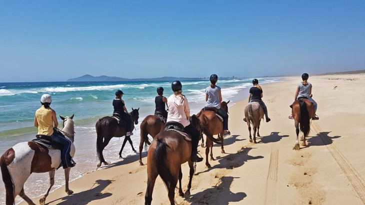 Horseabout Tours, Tuncurry beach horse riding