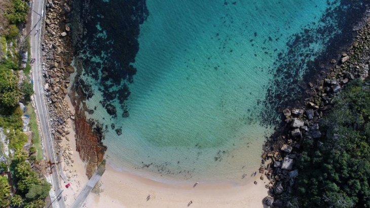 Cabbage Tree Bay Manly