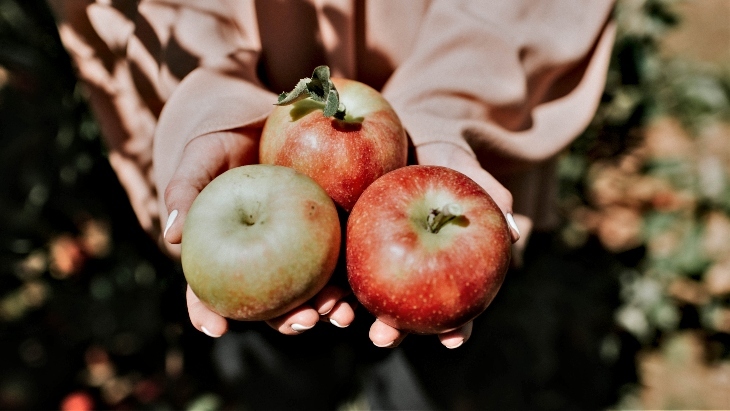 Apple Picking