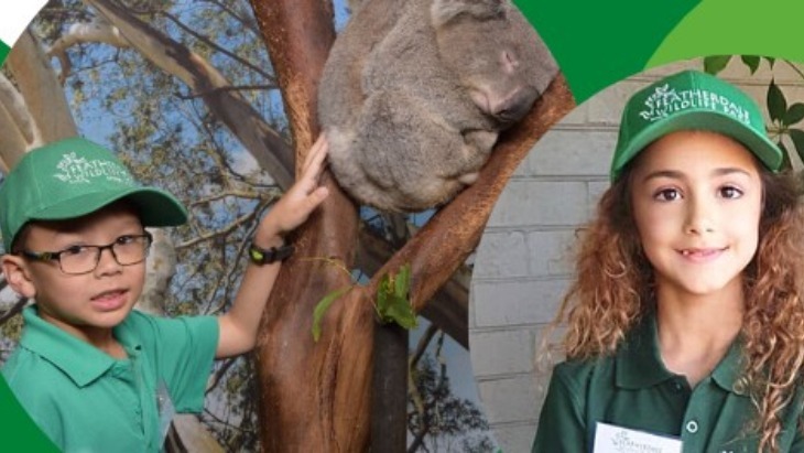 Featherdale Zookeeper summer holiday program