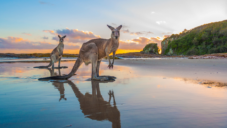Australia Travel - Port Macquarie