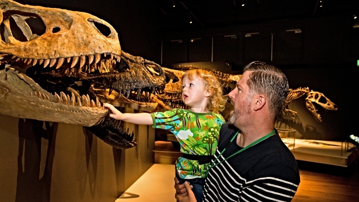 The Australian Museum