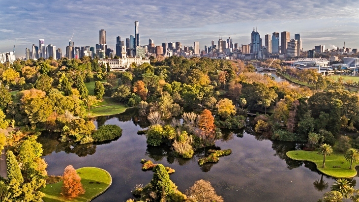 Autumn colours in Melbourne