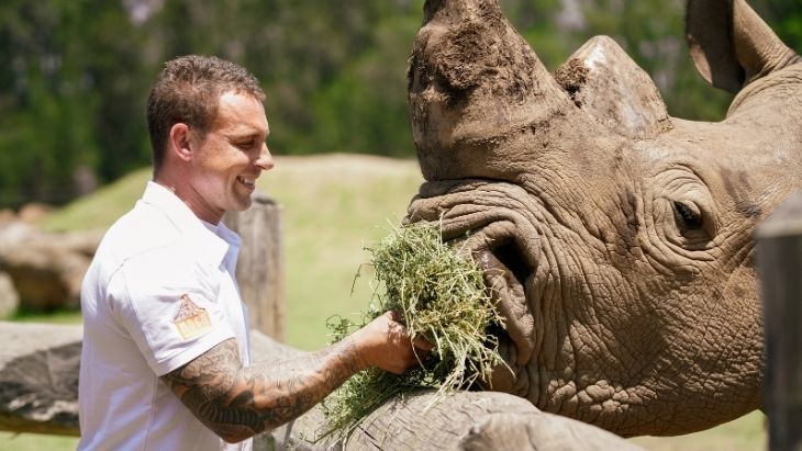 Mogo Wildlife Park camping