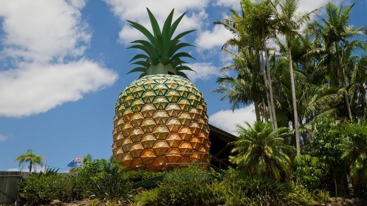 Big Pineapple, Queensland