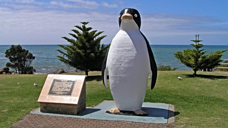 The-Big-Penguin Tasmania
