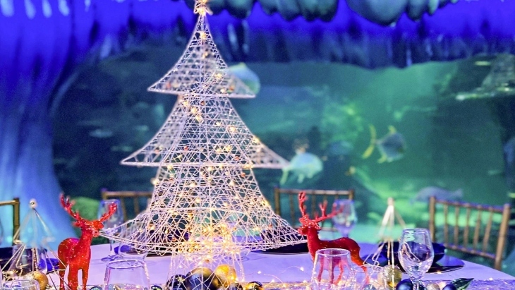 Christmas events in Sydney