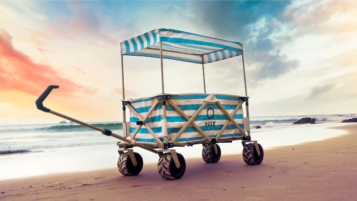 Wanderer Rugged Beach Cart