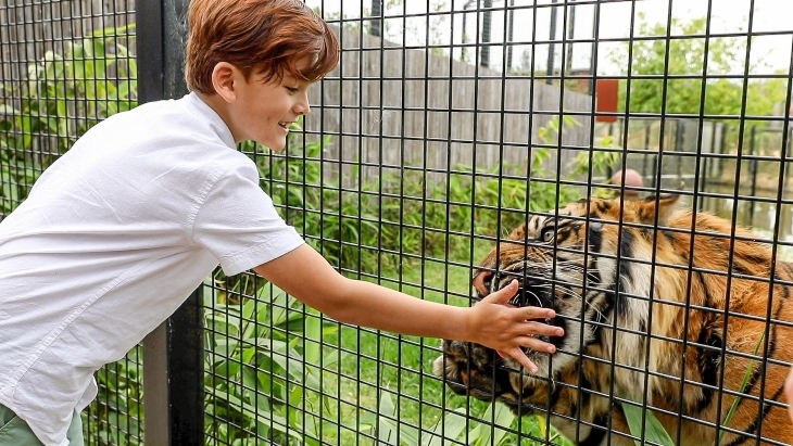 Don’t miss the chance to get up close to our majestic animals at Sydney Zoo