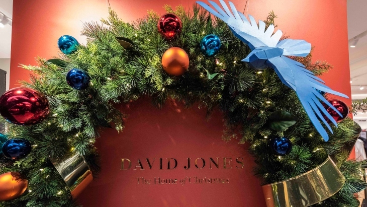 David Jones Christmas