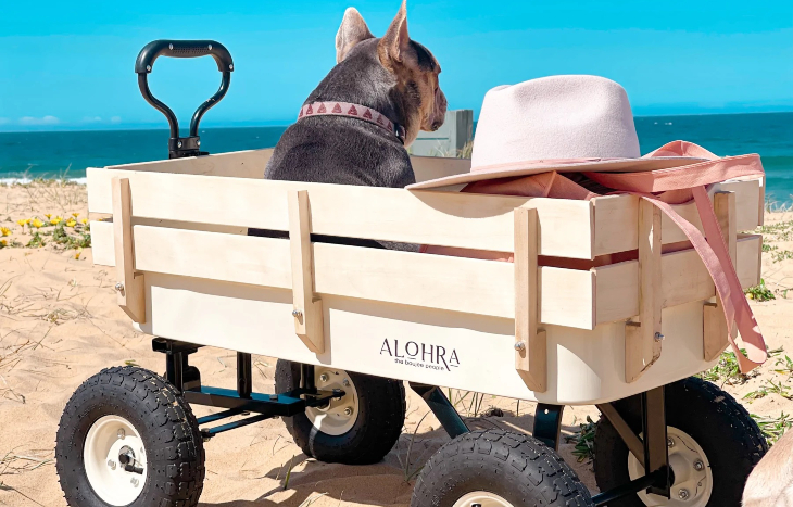 Alohra Timber Beach Cart