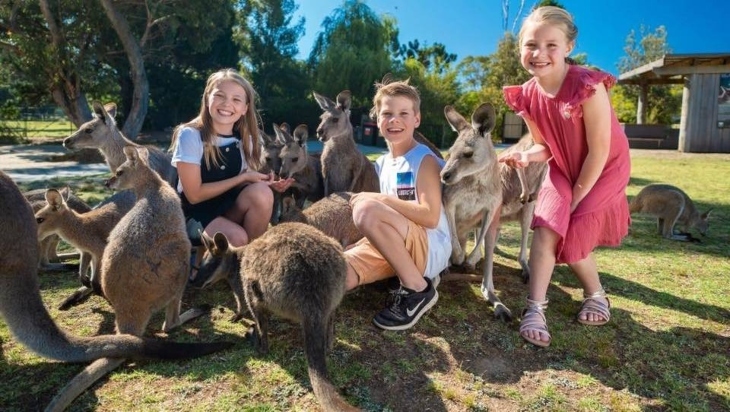 Animal activities and petting zoos in Sydney