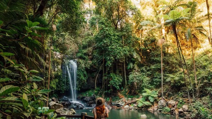 Tamborine Mountain 