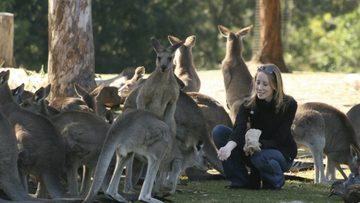 Lone Pine Koala Sanctuary with Return Scenic Cruise