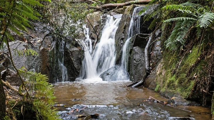 Olinda Falls