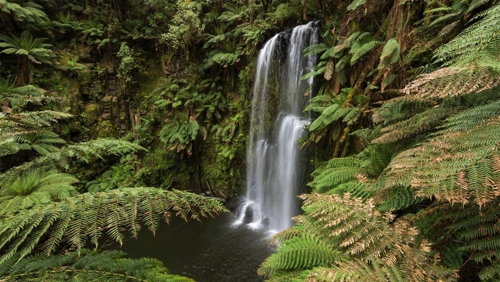 The best waterfalls near Melbourne