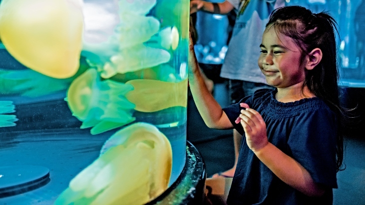 Vivid 2024 SEA LIFE Sydney Aquarium