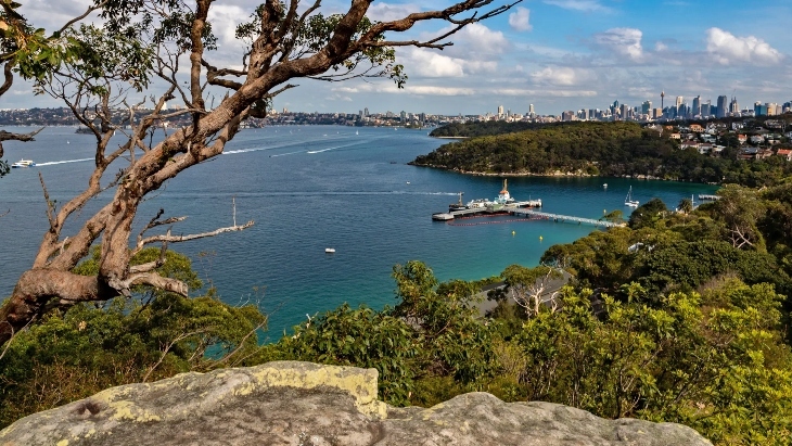 The best bush walks in Sydney