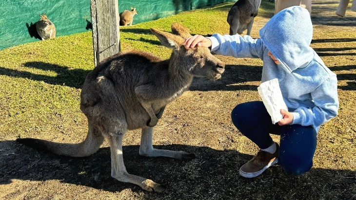 Symbio Wildlife Park review