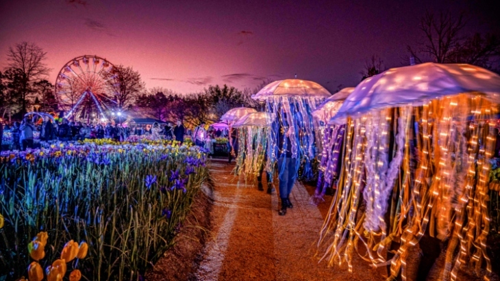 Spring festivals in Sydney