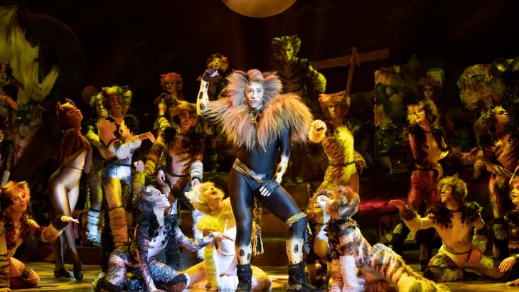 CATS The Musical Sydney