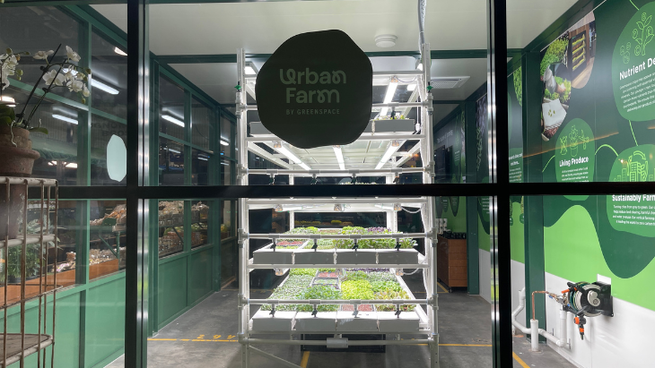 Hay Street Market Urban Farm