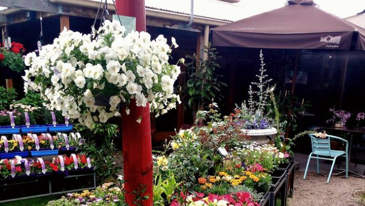 Melbourne S Best Cafes In Plant Nurseries For Families And Kids