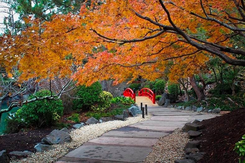 Auburn botanical gardens autumn festival 2018