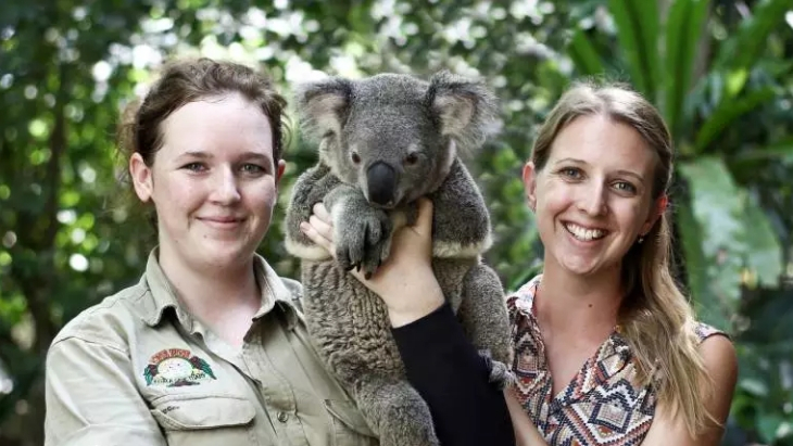 ellaslist shares top animal encounters for kids around Brisbane | ellaslist