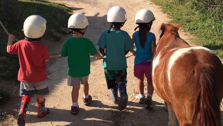 Farm Stay NSW - Barcoos Barn Farmstay, Perthville
