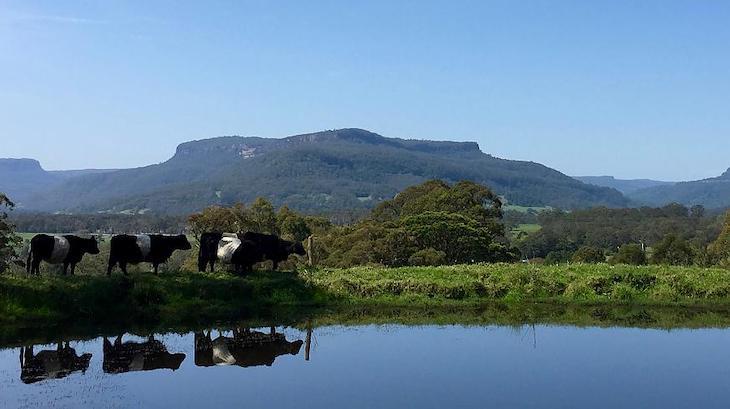 Farm Stay NSW - Minimbah Farm, Kangaroo Valley