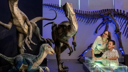 powerhouse museum dinosaurs