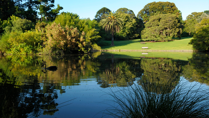 Going Green Melbourne S Best Botanic Gardens Ellaslist