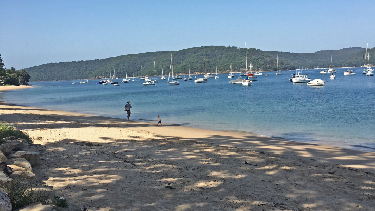 Beach clearance with shade