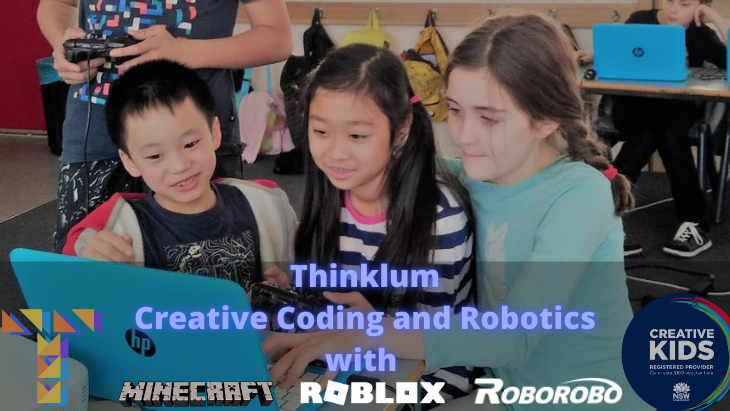 Private Tutor Led One-On-One Online Classes - Roblox, , Minecra –  Thinklum
