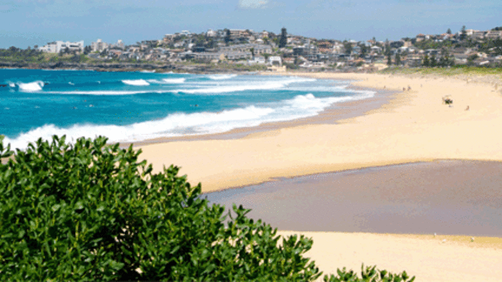 Curl curl beach