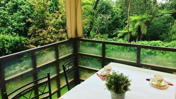 Teahouse camellia gardens