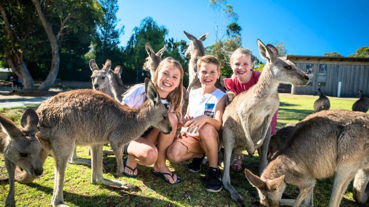 Symbio wildlife park