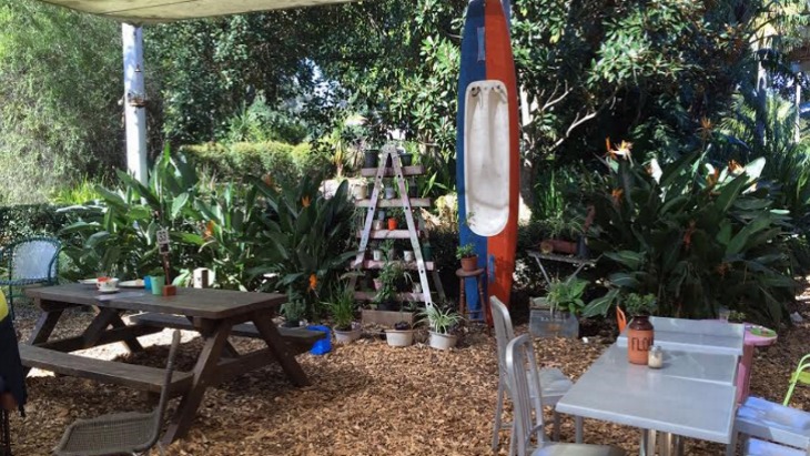 Flying fox cafe